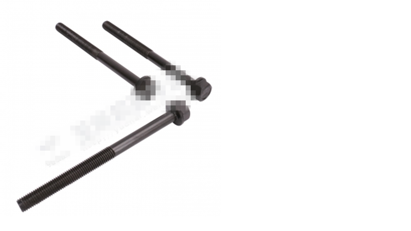 Cylinder head long bolt-1