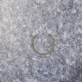 Piston pin retaining ring