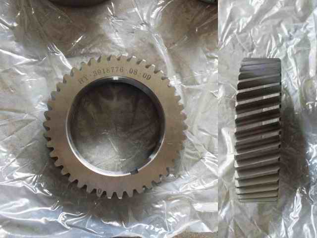 Crankshaft timing gear; available for generations of 1005-02139
