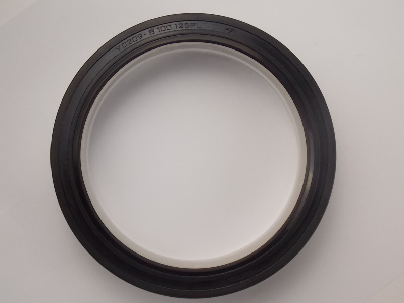 Задний сальник коленвала