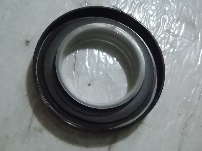 Torsion shock absorber assembly-crankshaft-1