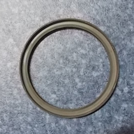 Oil seal-1