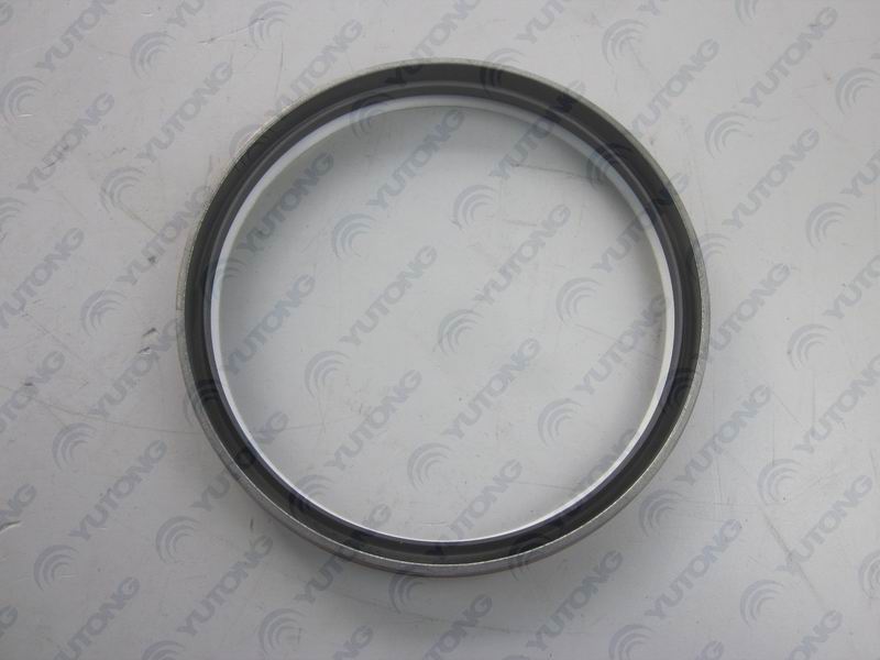 Rear seal-1