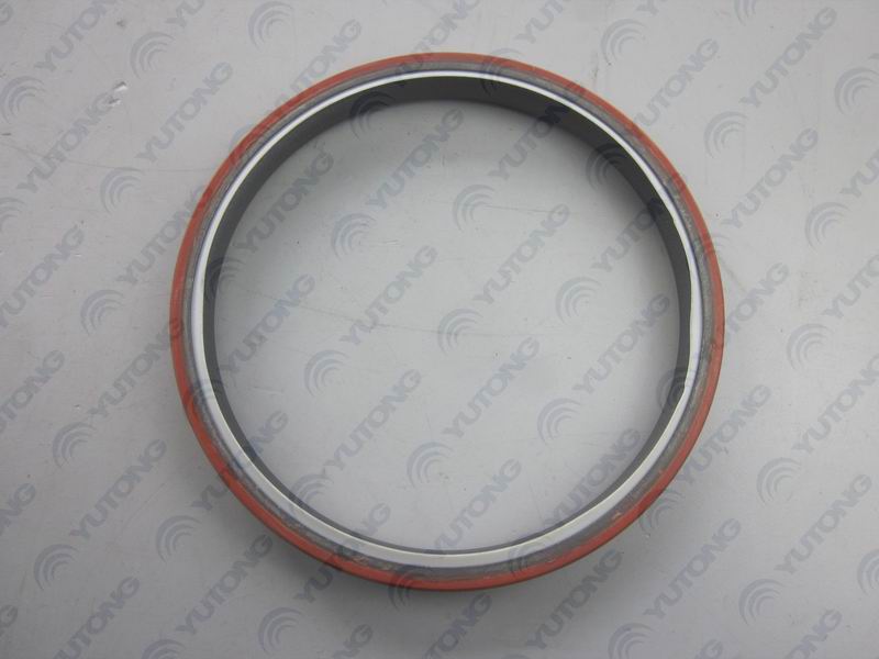 Rear seal-2