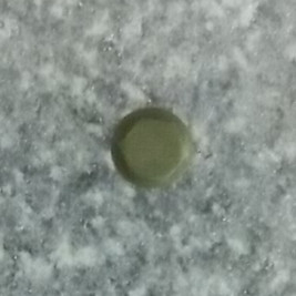 Flywheel bolts-1