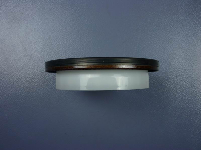 Crankshaft rear oil seal-2