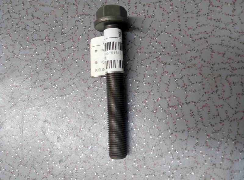 Shock Absorber Bolts
