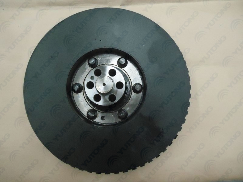 Crankshaft shock absorber