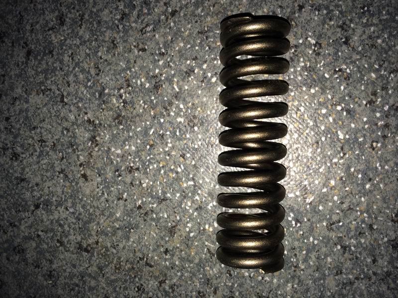 Valve spring