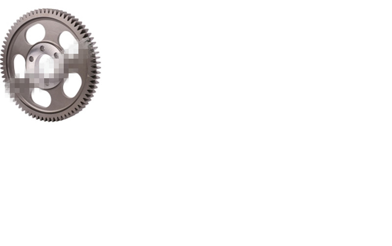 Зубчатая шестерня распределительного вала