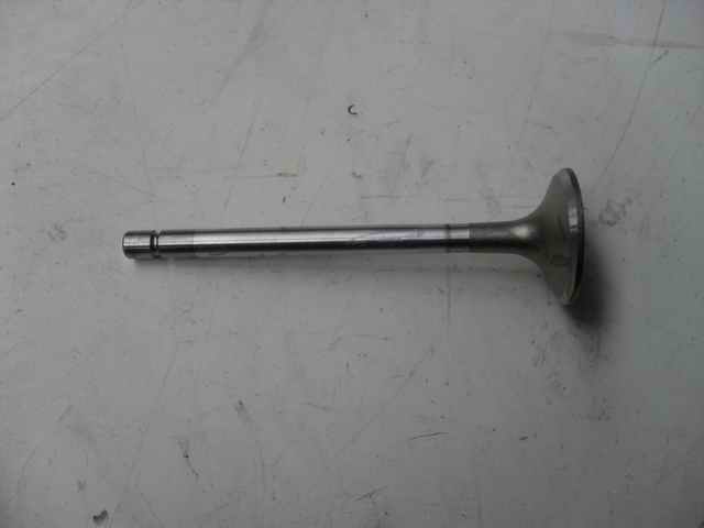 Вытяжная дверь