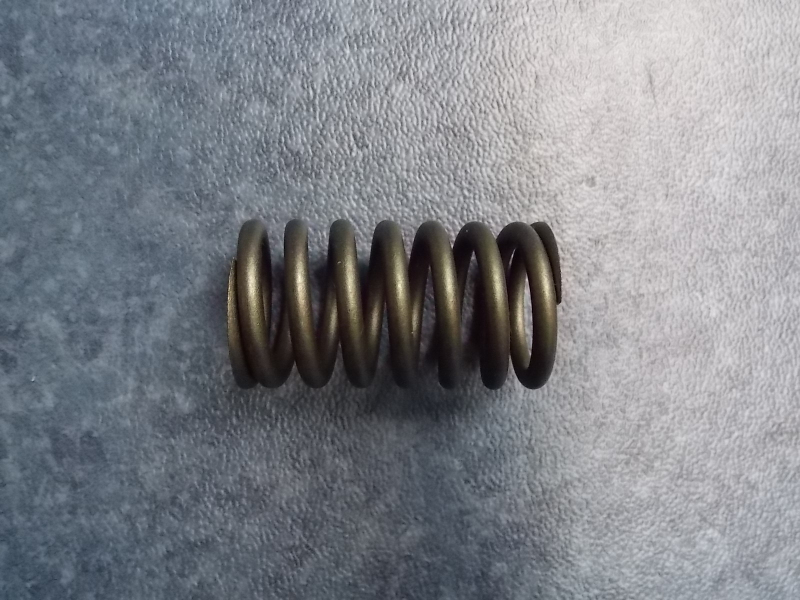Valve spring