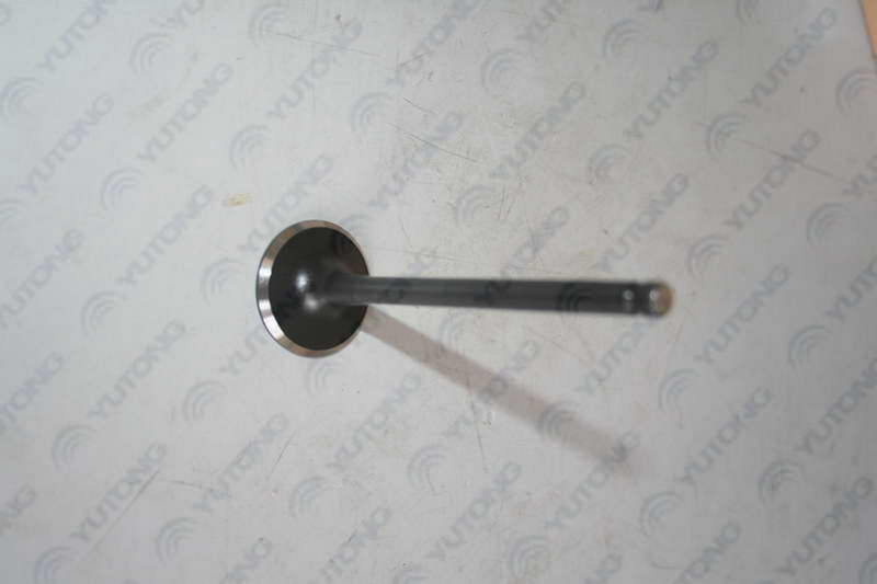 Exhaust valve; available for 1007-00549 generations-3