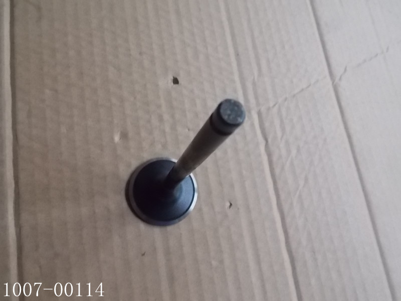 Exhaust valve; available for 1007-00549 generations-1