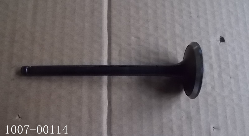 Exhaust valve; available for 1007-00549 generations-2