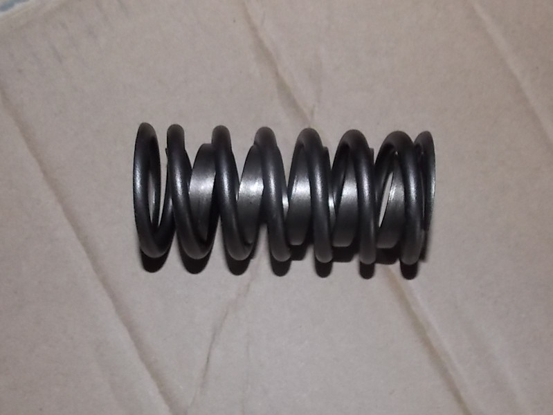 Exhaust valve spring