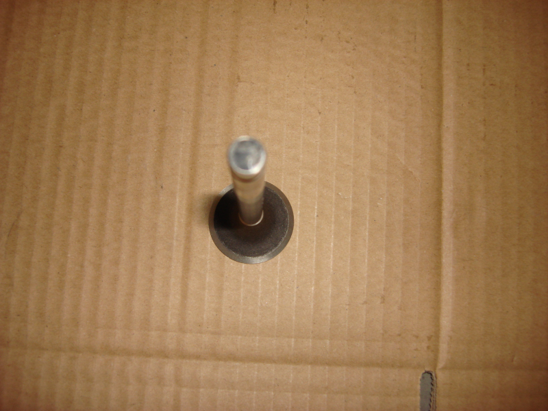 Exhaust valve J41YA-1