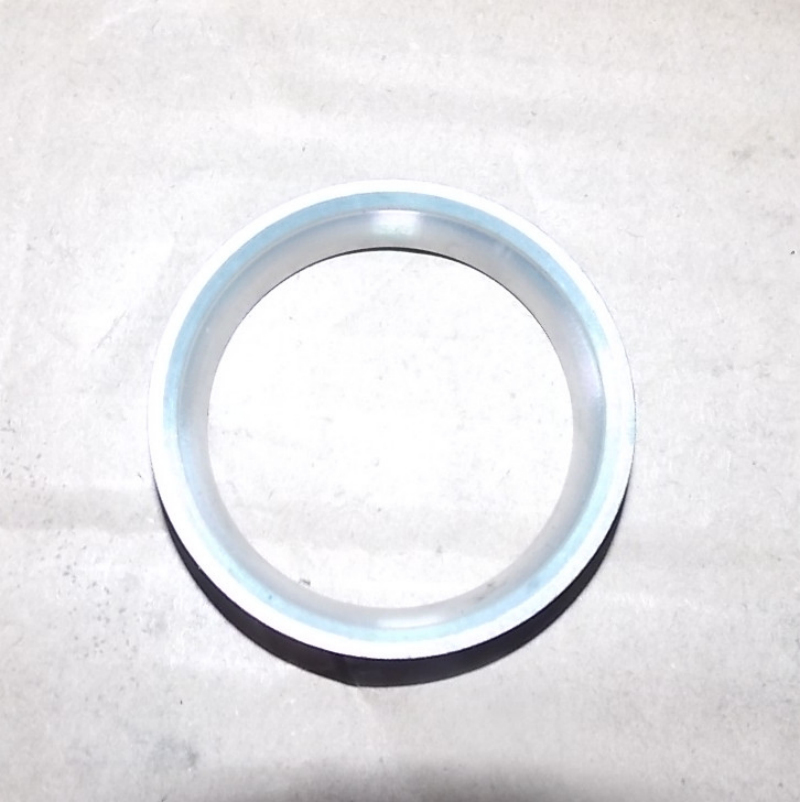 Exhaust valve seat-1