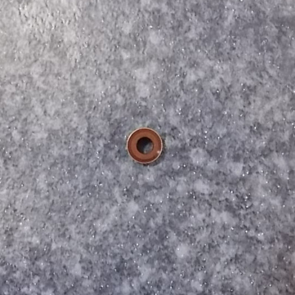 Intake valve conduit oil seal