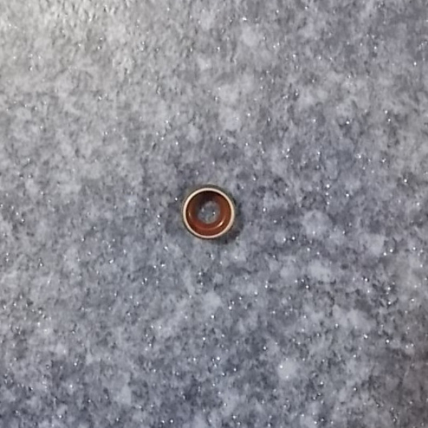 Intake valve conduit oil seal-1