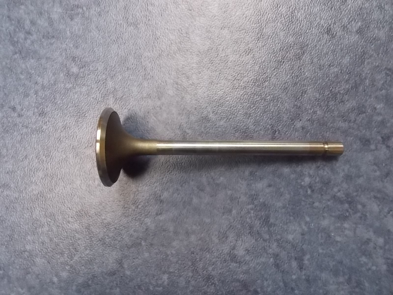 Air intake door