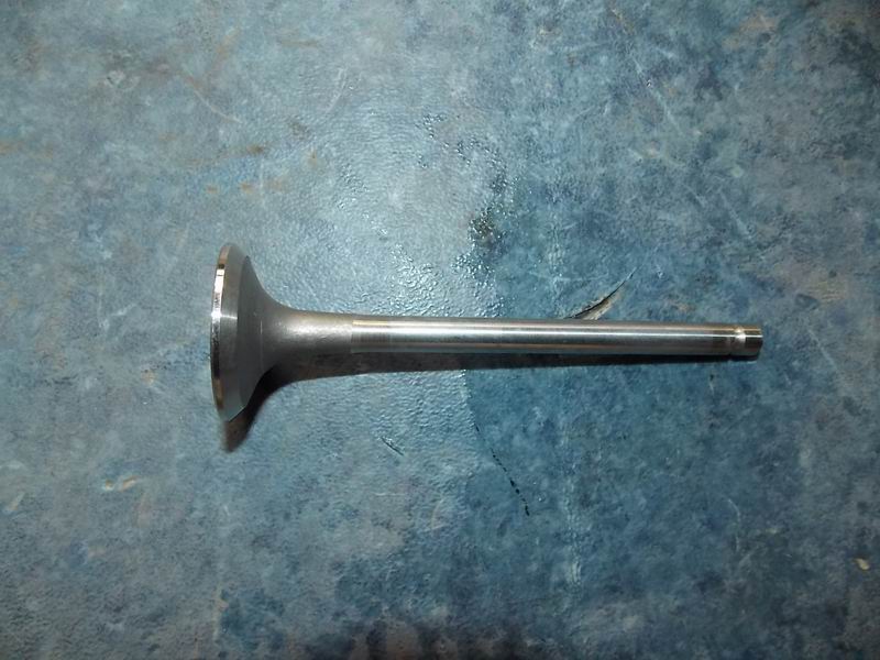 Exhaust door