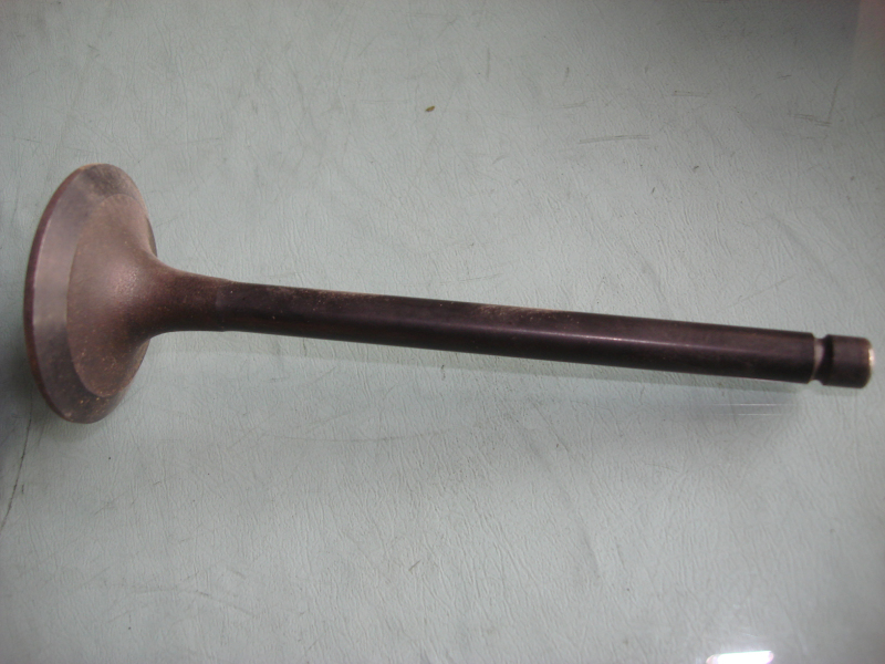 Intake valve; available for 1007-01794 generations
