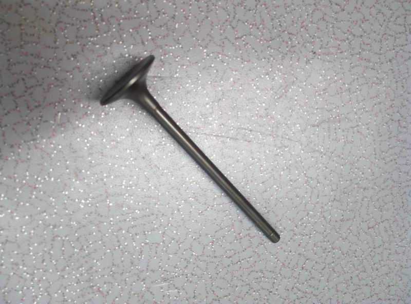 Дверца воздухозаборника