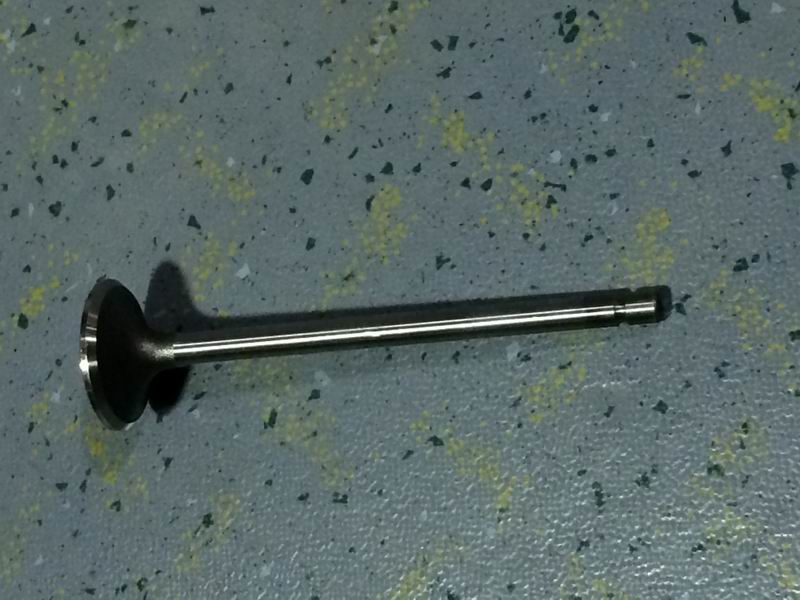 Вытяжная дверь