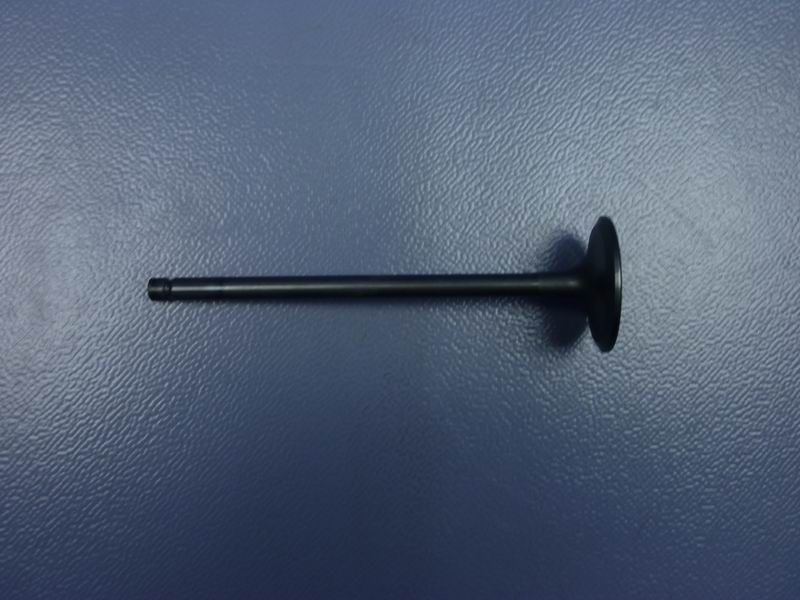 Air intake door-1