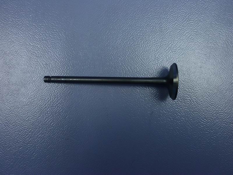 Exhaust door-1