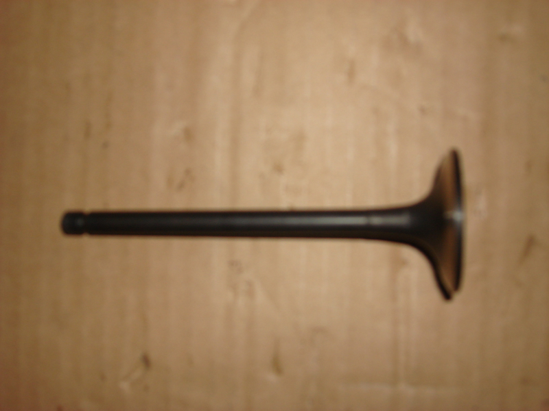 Intake valve; available for 1007-01335 generations