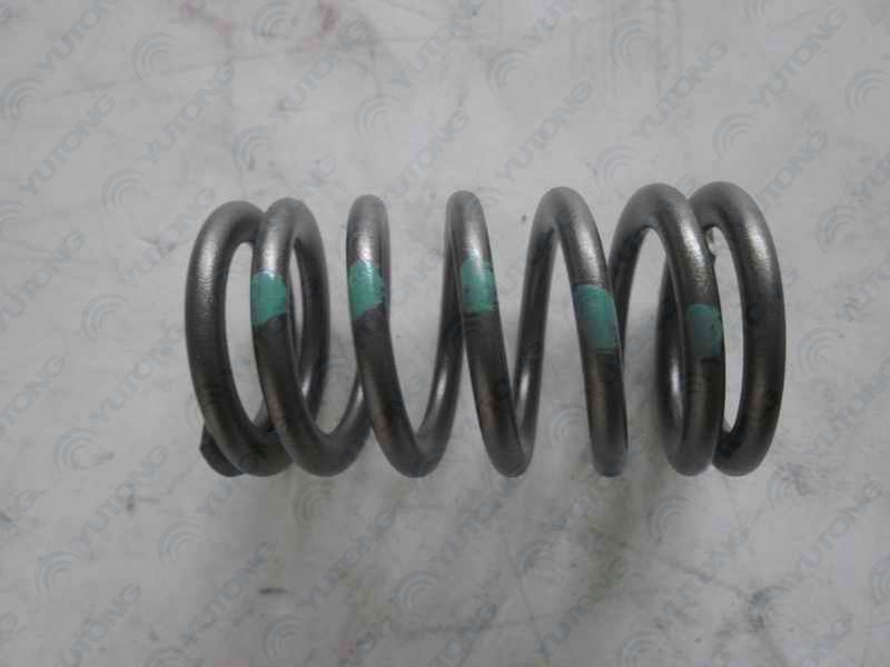 Valve spring; available for 1007-00995 generations