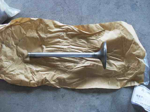 Дверца воздухозаборника