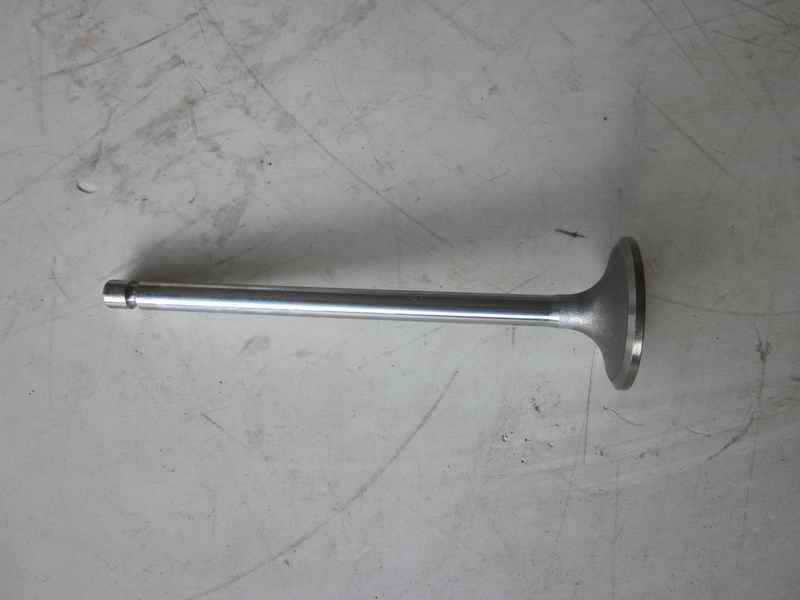 Intake valve; available for 1007-01195 generations