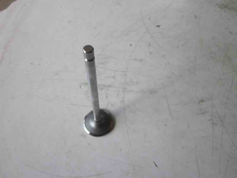 Intake valve; available for 1007-01195 generations-1