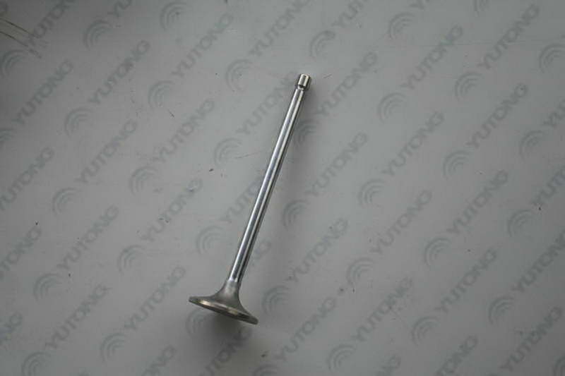 Intake valve; available for 1007-01195 generations-2