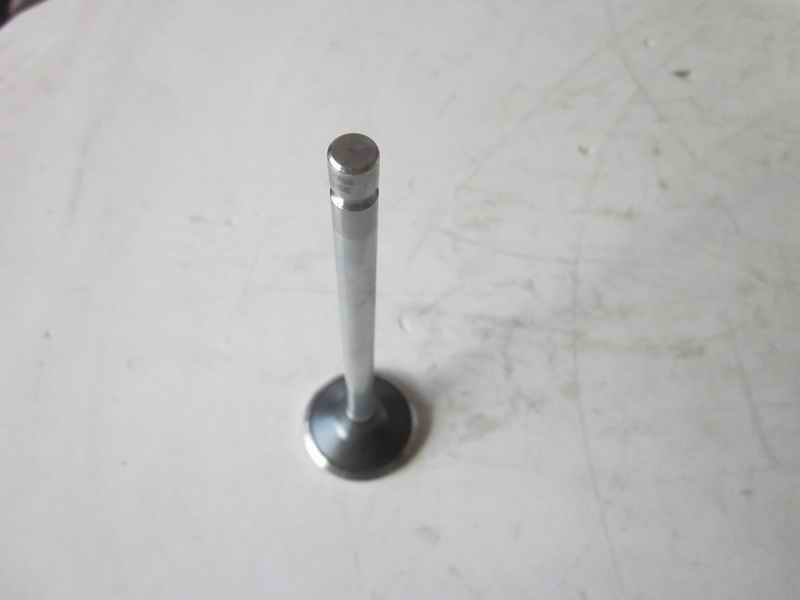 Exhaust valve; available for 1007-01196 generations-1
