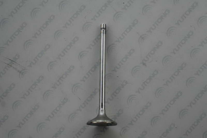 Exhaust valve; available for 1007-01196 generations-2