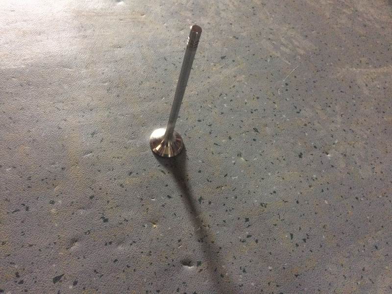 Exhaust door-1