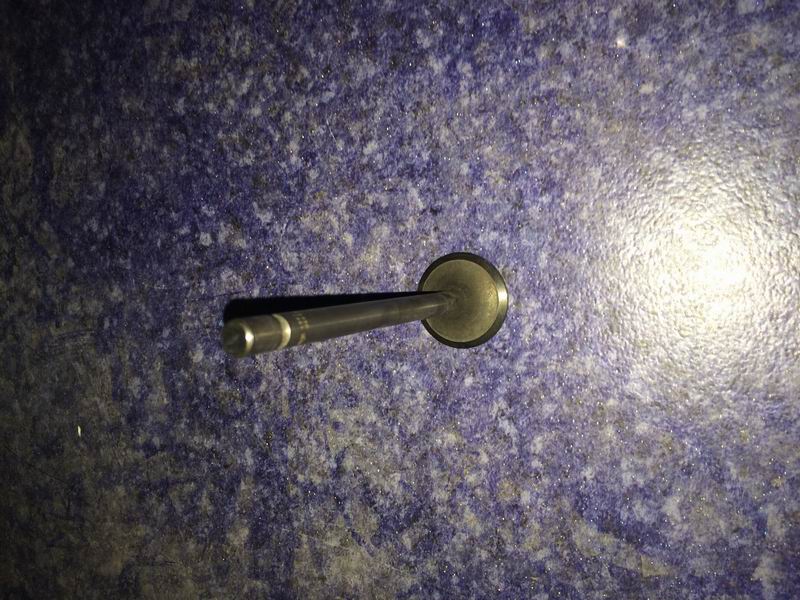 Вытяжная дверь-1