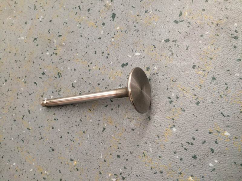 Дверца воздухозаборника