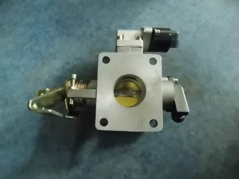 Throttle body assembly