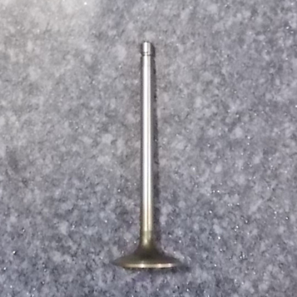 Intake valve (interchangeable with 1007-00176)