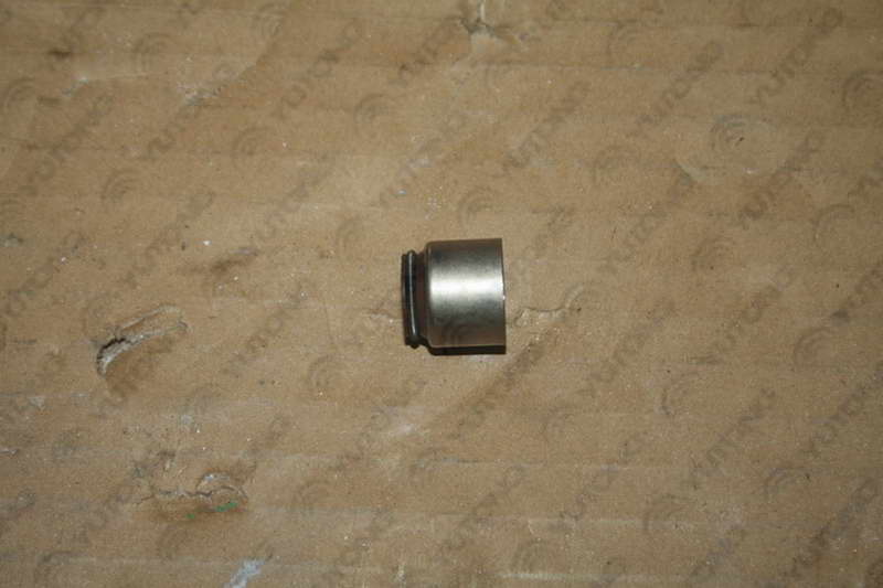 Valve seal-1