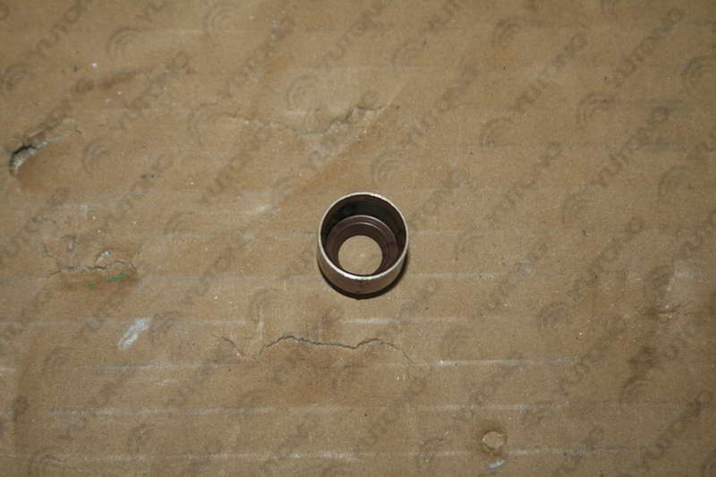 Valve seal-2