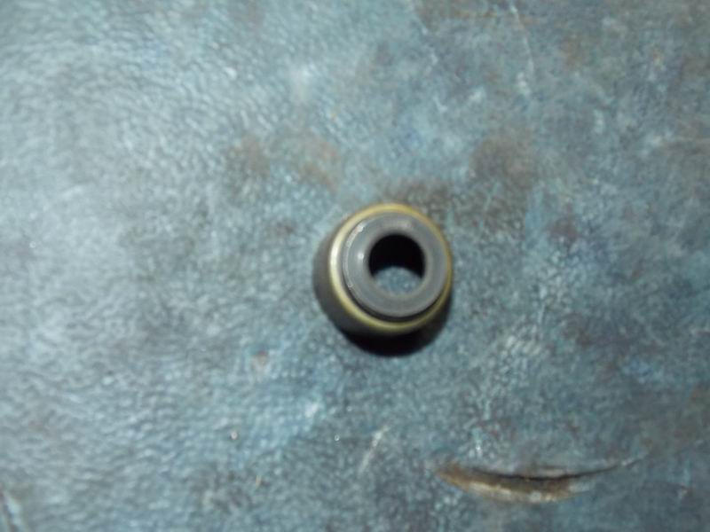 Valve seal