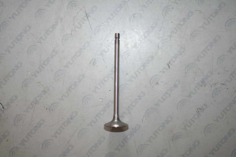 Exhaust valve; available for 1007-01416 generations