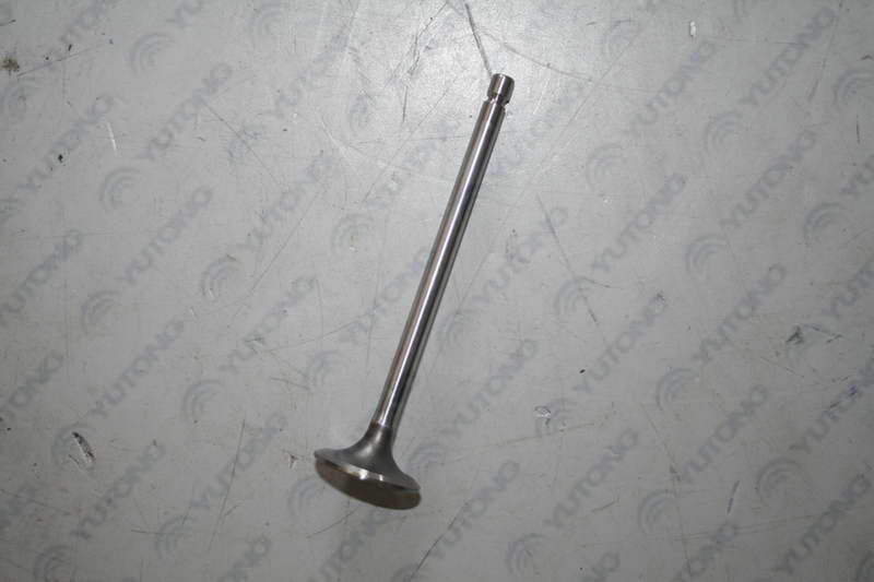 Intake valve; available for 1007-01417 generations