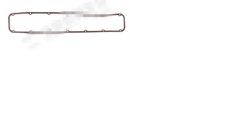 Cylinder head cover gasket; can be replaced by 1007-00074